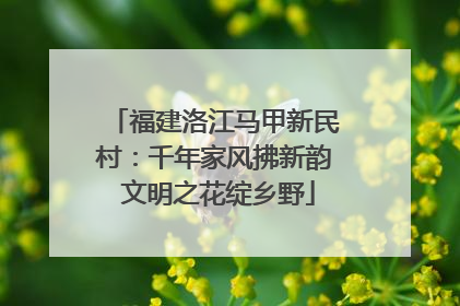 福建洛江马甲新民村：千年家风拂新韵 文明之花绽乡野
