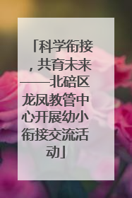 科学衔接，共育未来——北碚区龙凤教管中心开展幼小衔接交流活动
