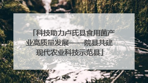 科技助力卢氏县食用菌产业高质量发展——院县共建现代农业科技示范县