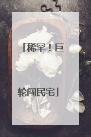 稀罕！巨轮闯民宅