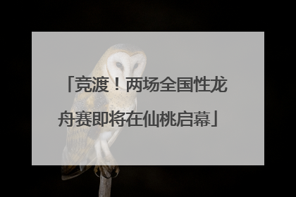 竞渡！两场全国性龙舟赛即将在仙桃启幕