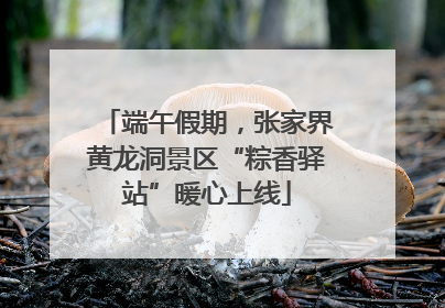 端午假期，张家界黄龙洞景区“粽香驿站”暖心上线
