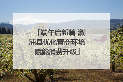 端午启新篇 溆浦县优化营商环境赋能消费升级