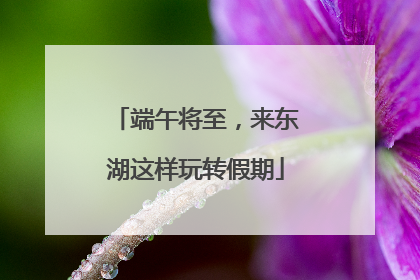 端午将至，来东湖这样玩转假期