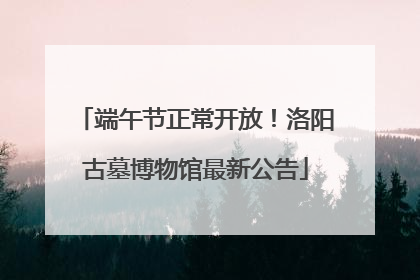 端午节正常开放！洛阳古墓博物馆最新公告