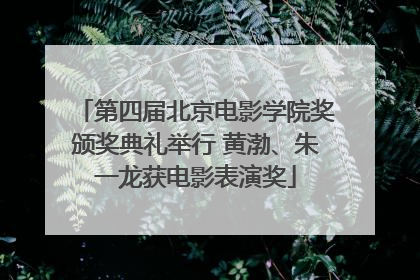 第四届北京电影学院奖颁奖典礼举行 黄渤、朱一龙获电影表演奖