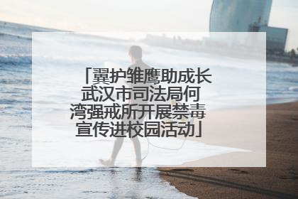 翼护雏鹰助成长 武汉市司法局何湾强戒所开展禁毒宣传进校园活动