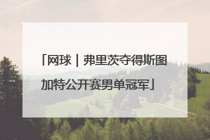 网球｜弗里茨夺得斯图加特公开赛男单冠军