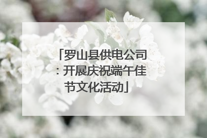 罗山县供电公司：开展庆祝端午佳节文化活动