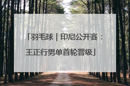 羽毛球｜印尼公开赛：王正行男单首轮晋级