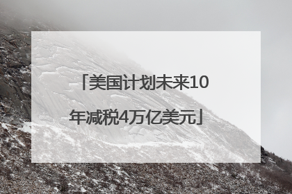 美国计划未来10年减税4万亿美元