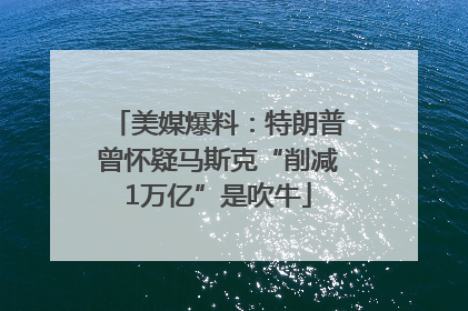 美媒爆料：特朗普曾怀疑马斯克“削减1万亿”是吹牛