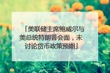 美联储主席鲍威尔与美总统特朗普会面，未讨论货币政策预期