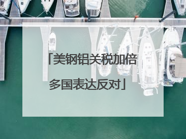 美钢铝关税加倍 多国表达反对