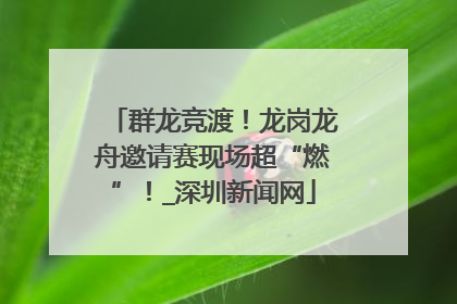 群龙竞渡！龙岗龙舟邀请赛现场超“燃”！_深圳新闻网