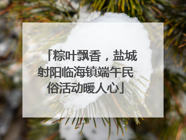 粽叶飘香，盐城射阳临海镇端午民俗活动暖人心