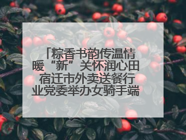 粽香书韵传温情 暖“新”关怀润心田 宿迁市外卖送餐行业党委举办女骑手端午主题活动