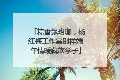 粽香飘珞珈，杨红梅工作室别样端午情暖藏族学子