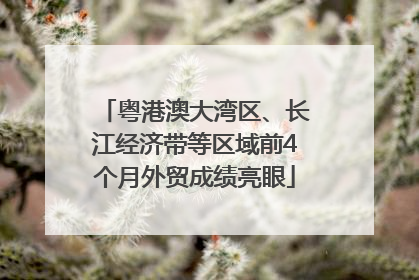 粤港澳大湾区、长江经济带等区域前4个月外贸成绩亮眼