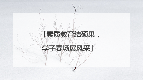 素质教育结硕果，学子赛场展风采