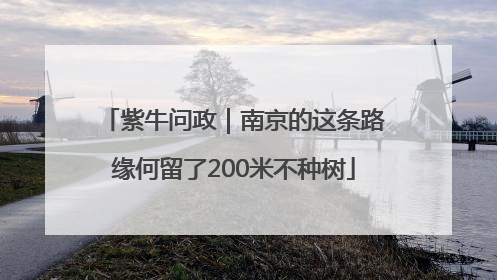紫牛问政｜南京的这条路缘何留了200米不种树