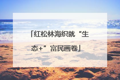 红松林海织就“生态+”富民画卷