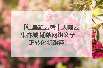红星耀云端｜大咖云集春城 铺就网络文学IP转化新路径