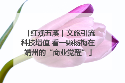 红观五溪｜文旅引流 科技增值 看一颗杨梅在靖州的“商业觉醒”