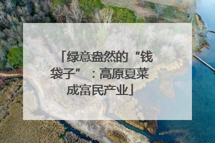 绿意盎然的“钱袋子”：高原夏菜成富民产业