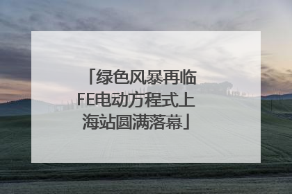 绿色风暴再临 FE电动方程式上海站圆满落幕
