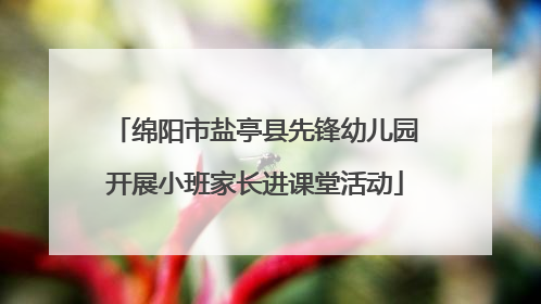 绵阳市盐亭县先锋幼儿园开展小班家长进课堂活动