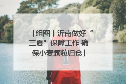 组图丨沂南做好“三夏”保障工作 确保小麦颗粒归仓