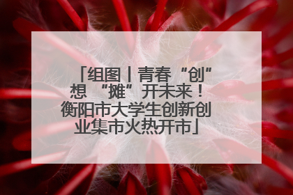 组图丨青春“创”想 “摊”开未来！衡阳市大学生创新创业集市火热开市