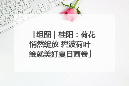 组图｜桂阳：荷花悄然绽放 碧波荷叶绘就美好夏日画卷