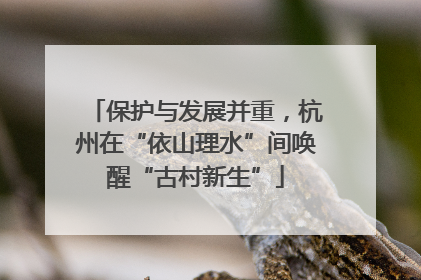 保护与发展并重，杭州在“依山理水”间唤醒“古村新生”