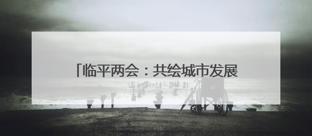 临平两会：共绘城市发展新图景，代表委员有话说