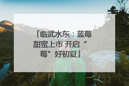 临武水东：蓝莓甜蜜上市 开启“莓”好初夏