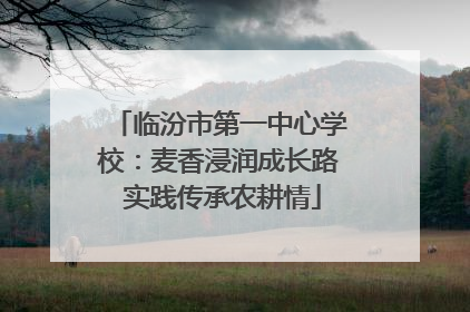 临汾市第一中心学校：麦香浸润成长路 实践传承农耕情
