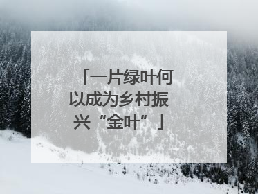 一片绿叶何以成为乡村振兴“金叶”