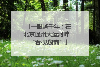一眼越千年：在北京通州大运河畔“看·见殷商”