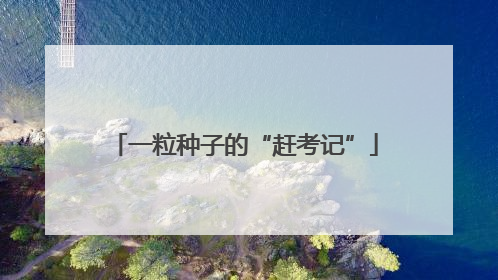 一粒种子的“赶考记”