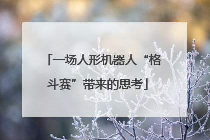 一场人形机器人“格斗赛”带来的思考