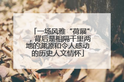 一场风雅“荷展”，背后是相隔千里两地的渊源和令人感动的历史人文情怀