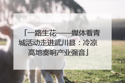 一路生花——媒体看青城活动走进武川县：冷凉高地奏响产业强音