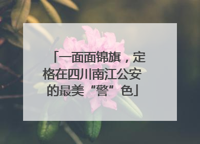 一面面锦旗，定格在四川南江公安的最美“警”色