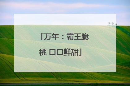 万年：霸王脆桃 口口鲜甜
