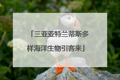 三亚亚特兰蒂斯多样海洋生物引客来