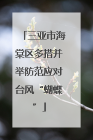三亚市海棠区多措并举防范应对台风“蝴蝶”