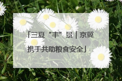 三夏“丰”景｜京冀携手共助粮食安全