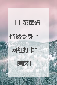 上第摩码悄然变身“网红打卡”园区